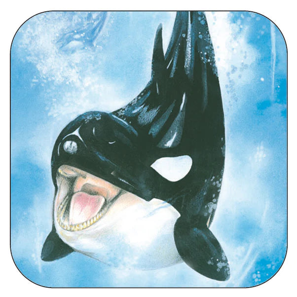 Coaster per 3 pieces Orca