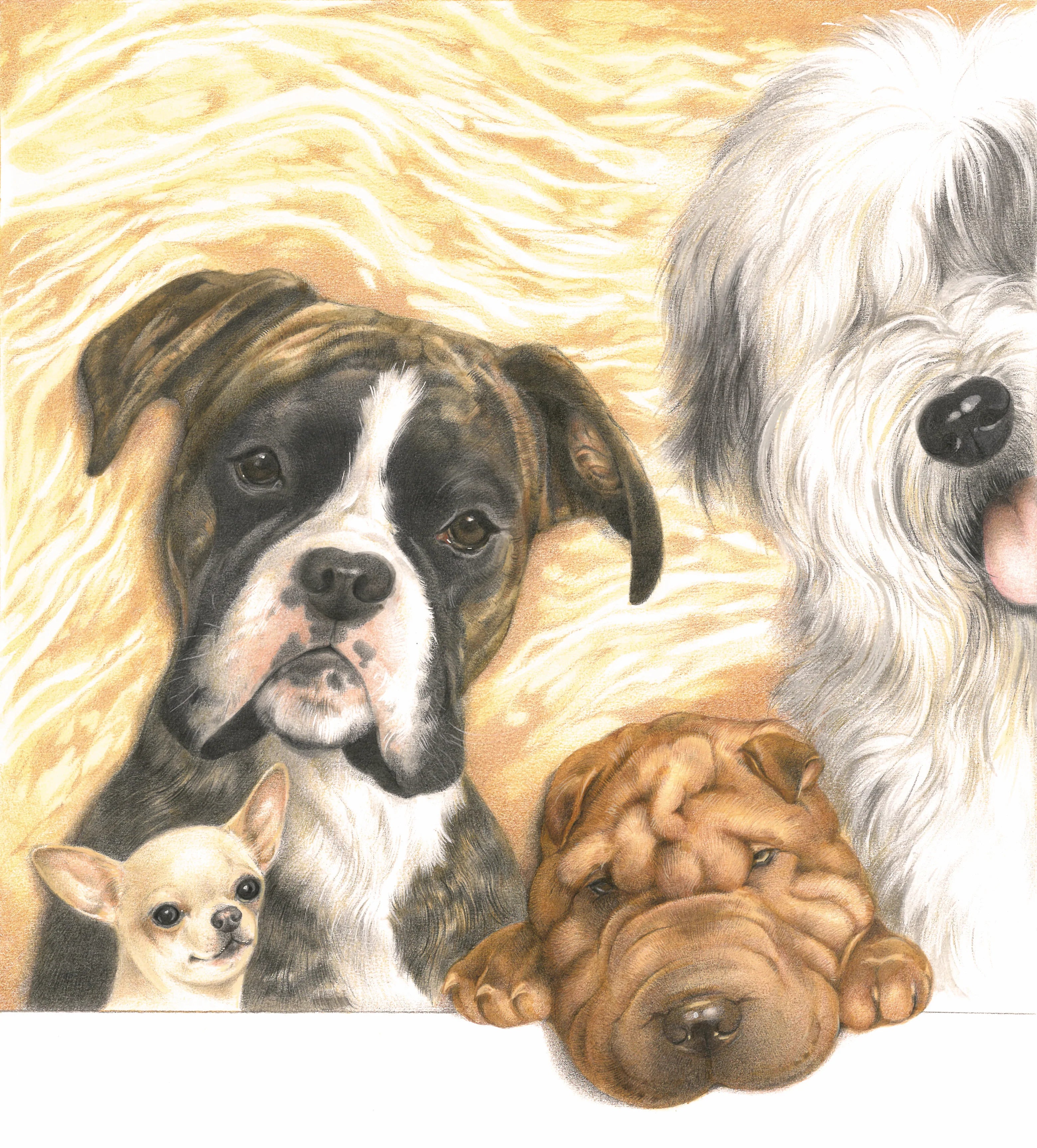 Vierkante kaart - Hondencollage