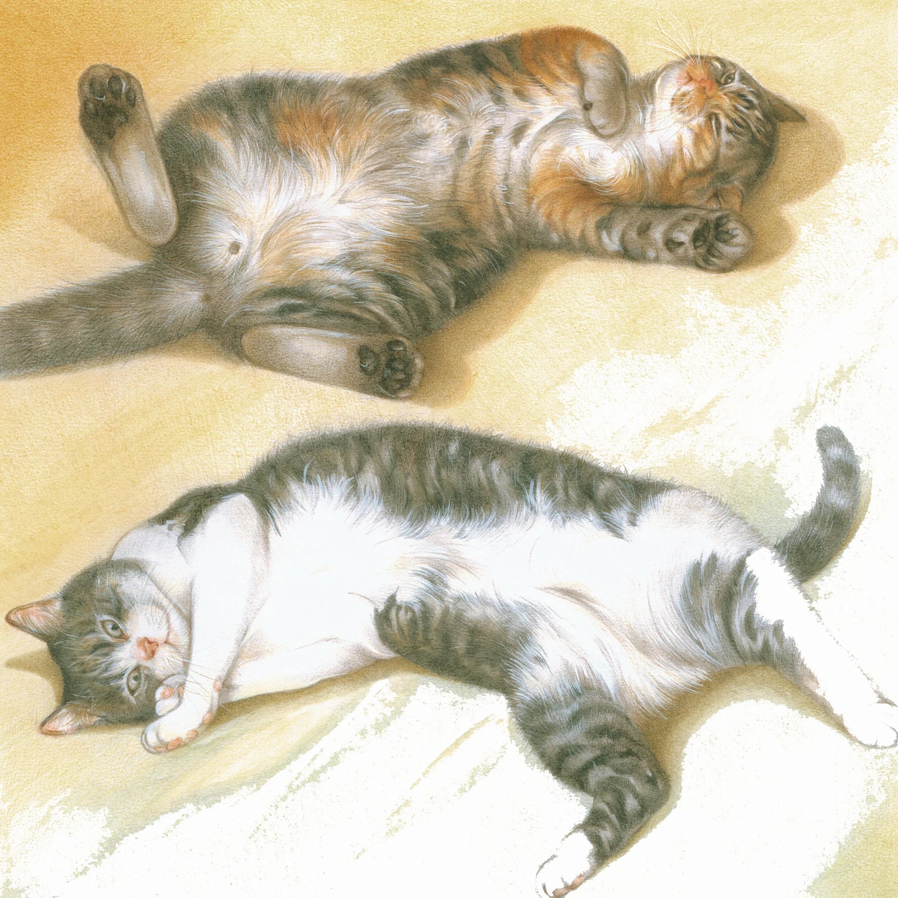 Vierkante kaart - Lekker even luieren, niets om je voor te schamen.