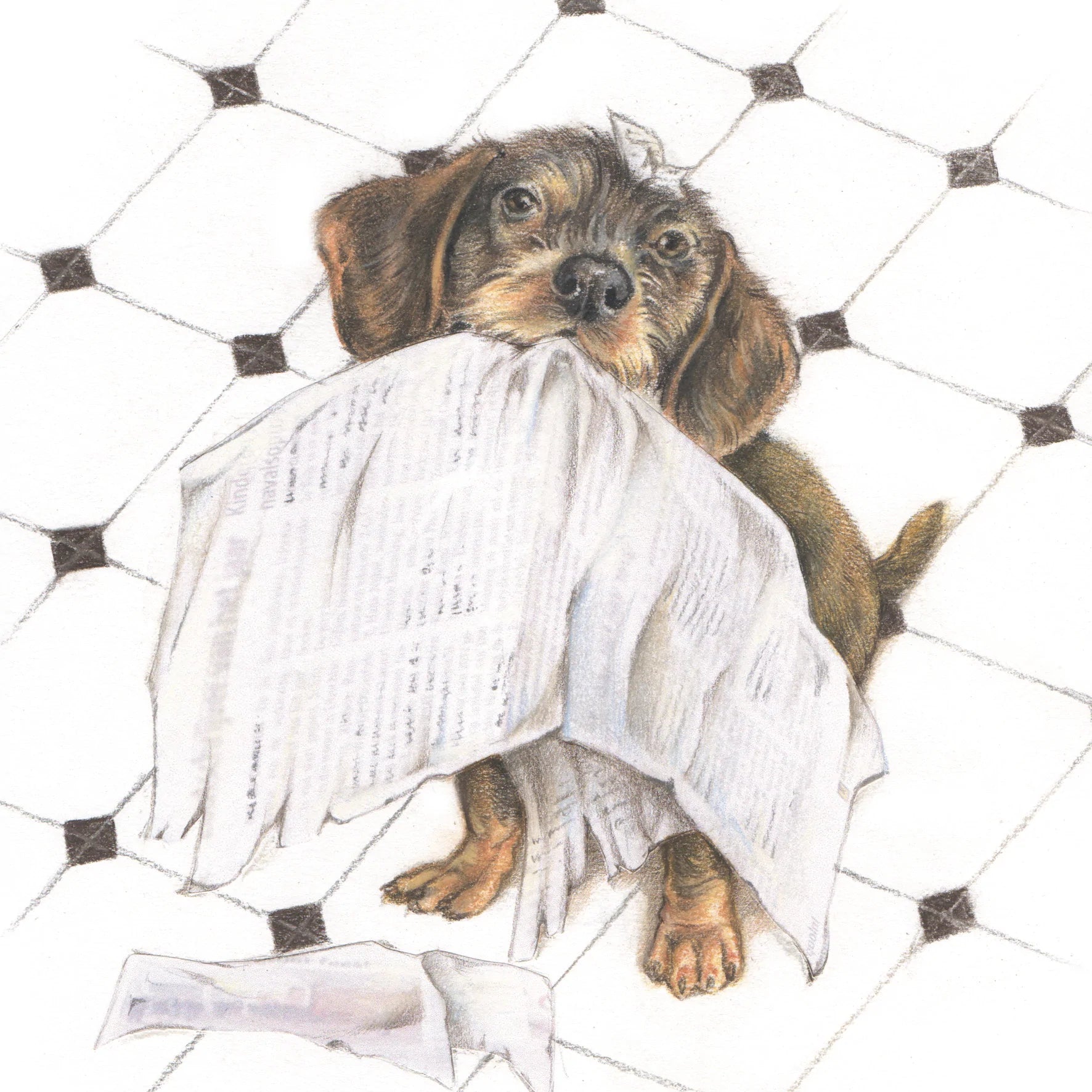 Vierkante kaart - Altijd op de hoogte van alle nieuwtjes (Teckel / Dachshund)