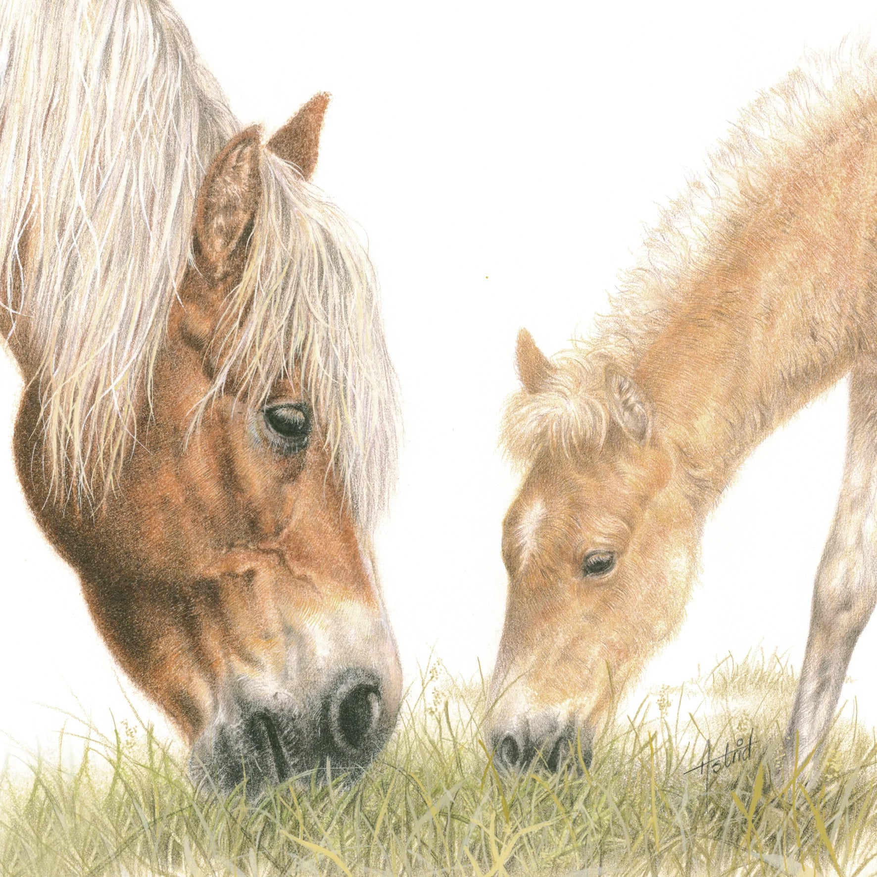 Quadratische Karte - Auch die Haflinger dürfen nicht fehlen,