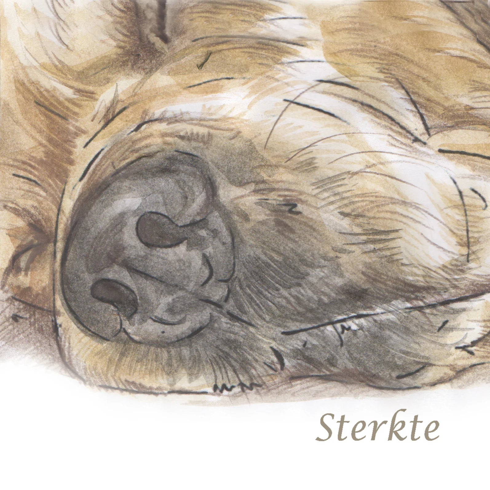 Vierkante kaart -  Condoleancekaart Labrador