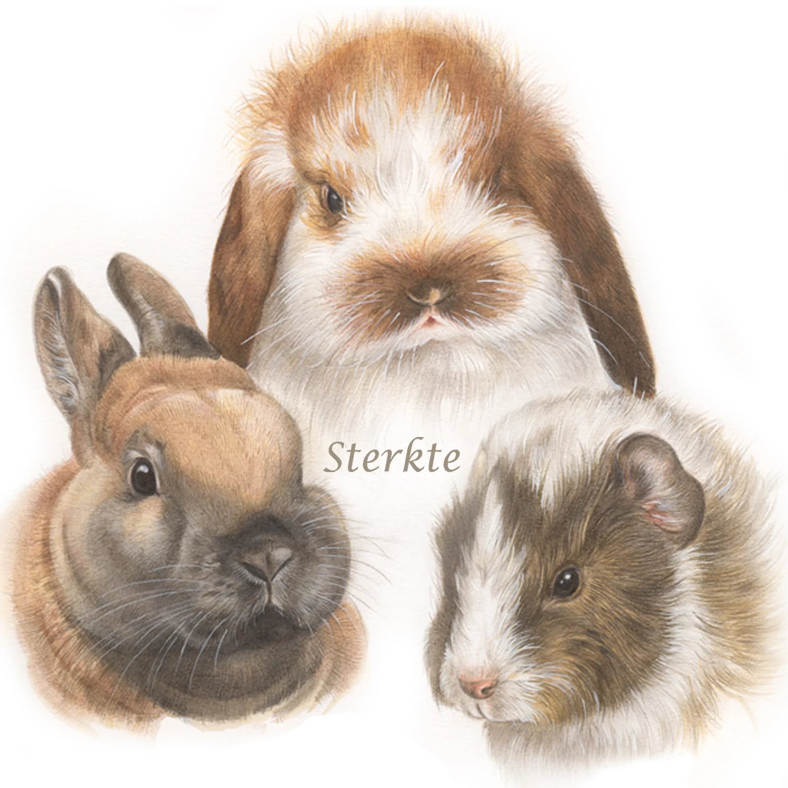 Vierkante kaart -  Condoleancekaart Konijn en Knaagdieren