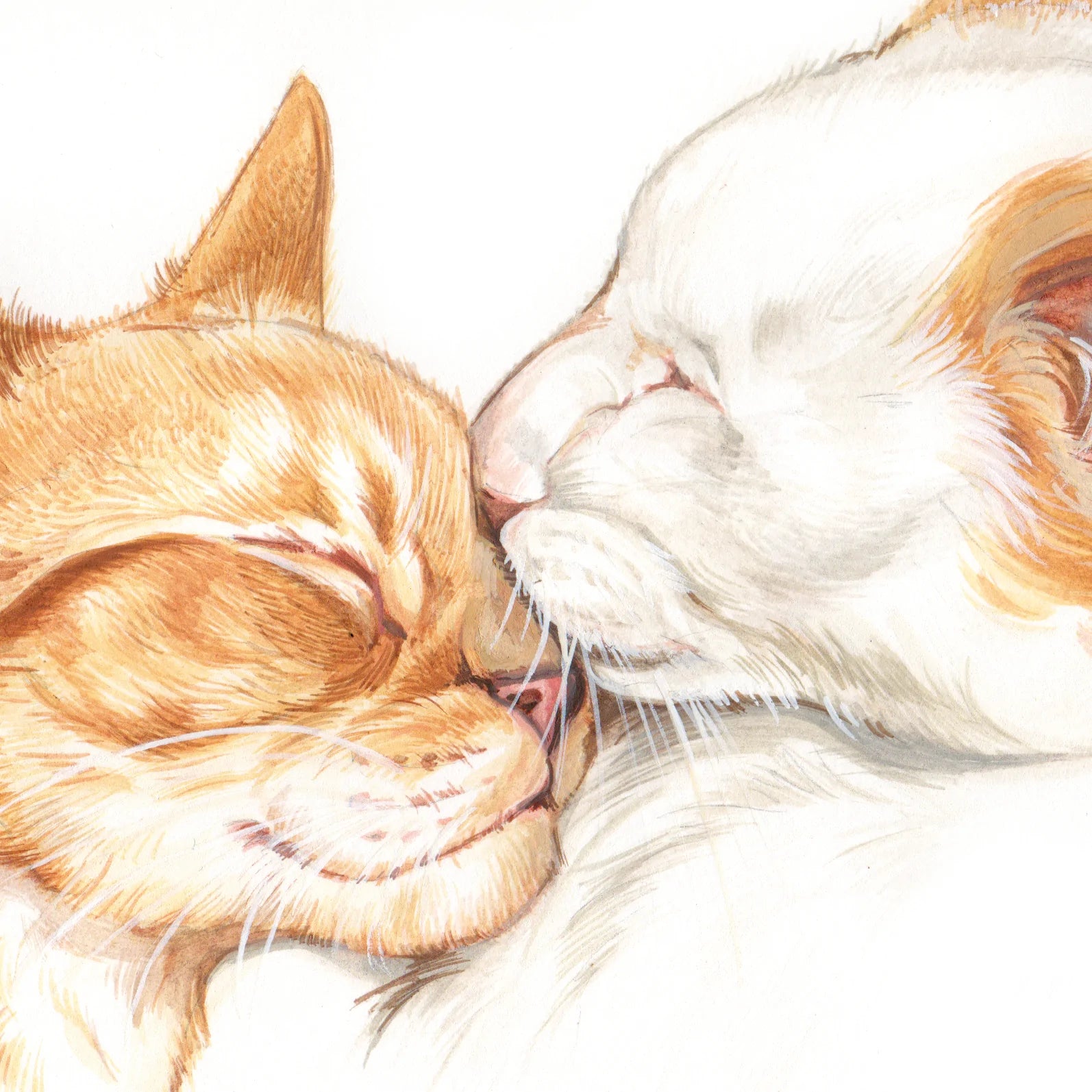 Quadratische Karte - Katzenliebe..