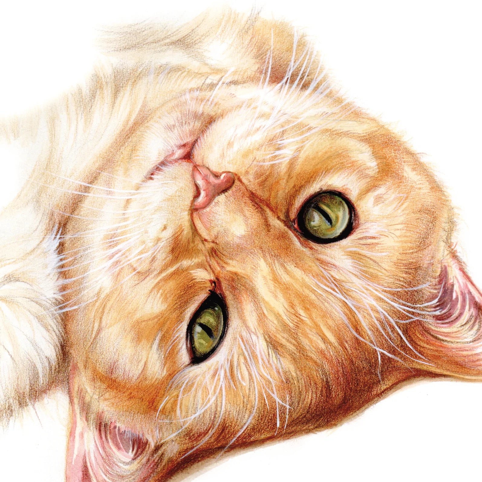 Vierkante kaart - Ben er ondersteboven van..