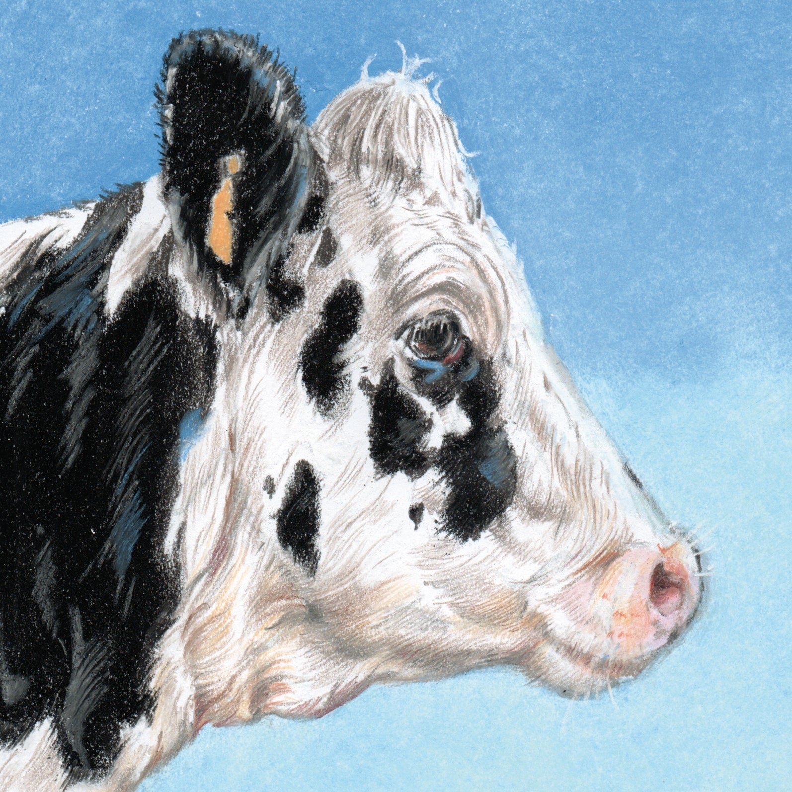 Vierkante kaart - Het staat in de wei, is zwart met wit...Rara wie ben ik....