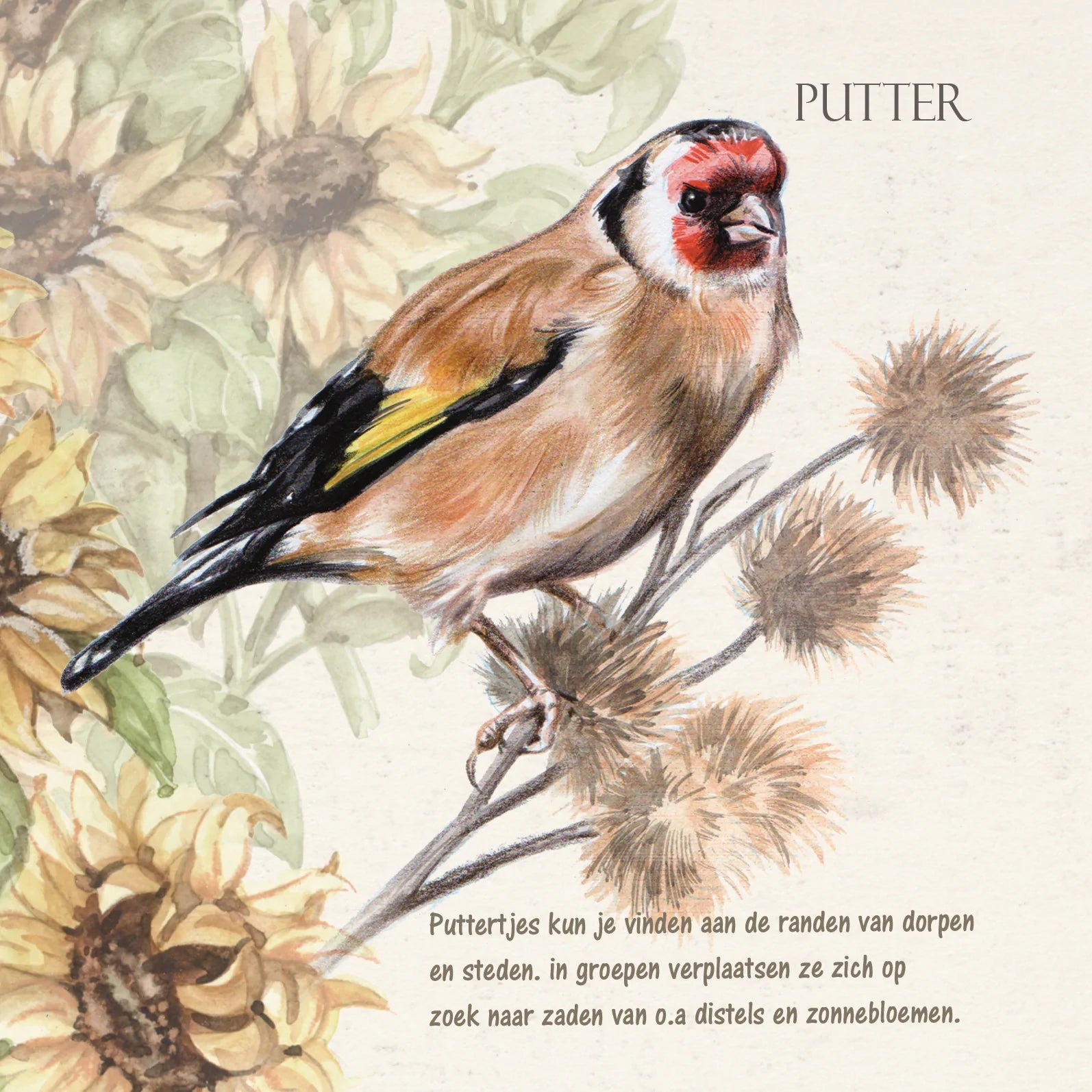 Vierkante kaart - Putter