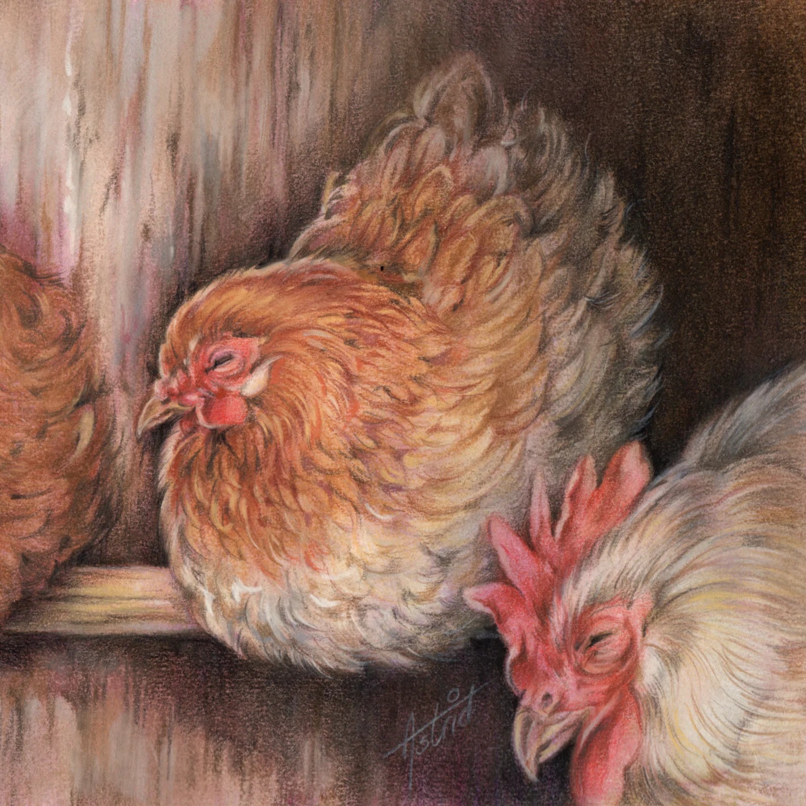 Vierkante kaart - Heerlijk met de kippen op stok...