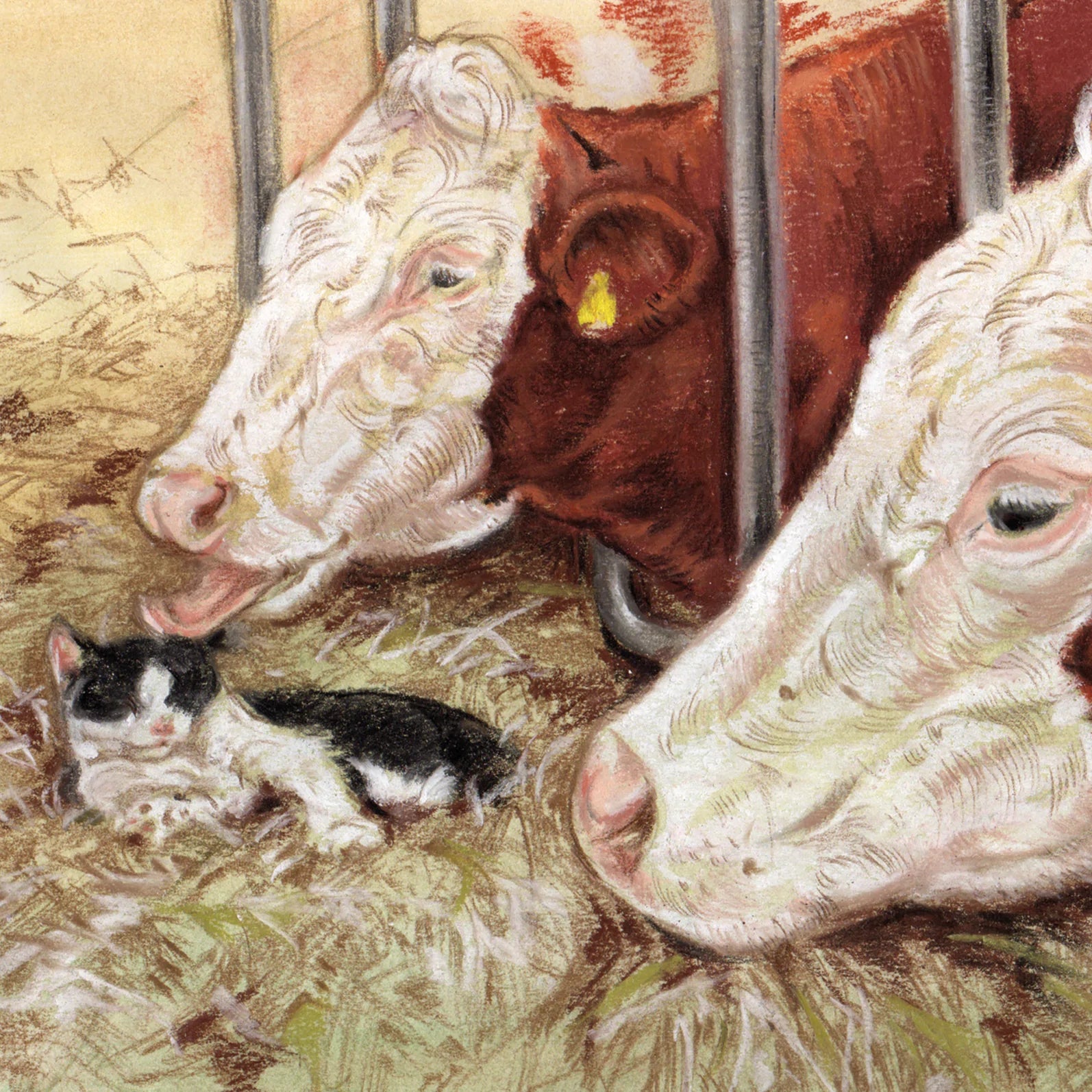 Vierkante kaart - Deze kat heeft vele vrienden