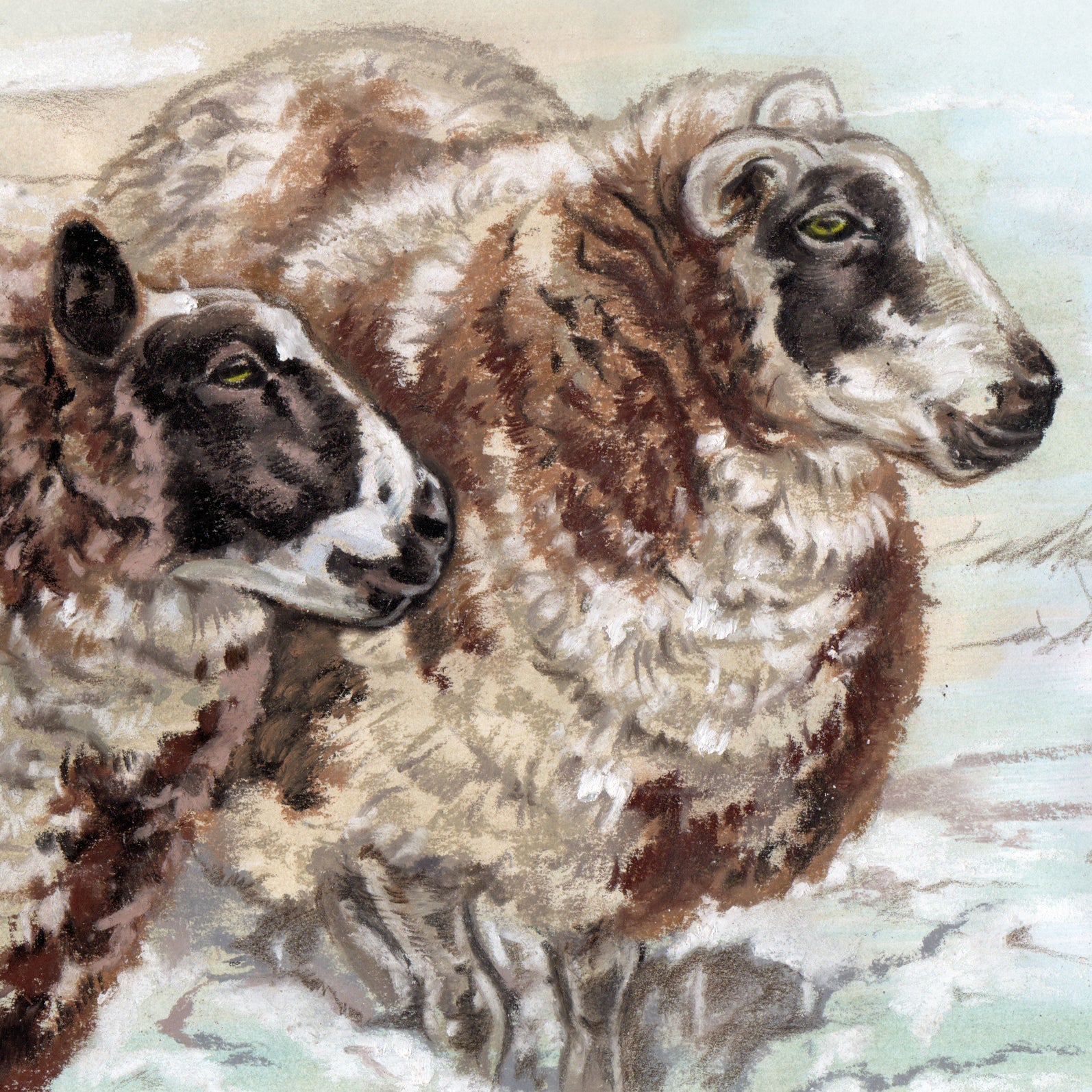 Vierkante kaart - En niemand klaagt dat het te koud is...