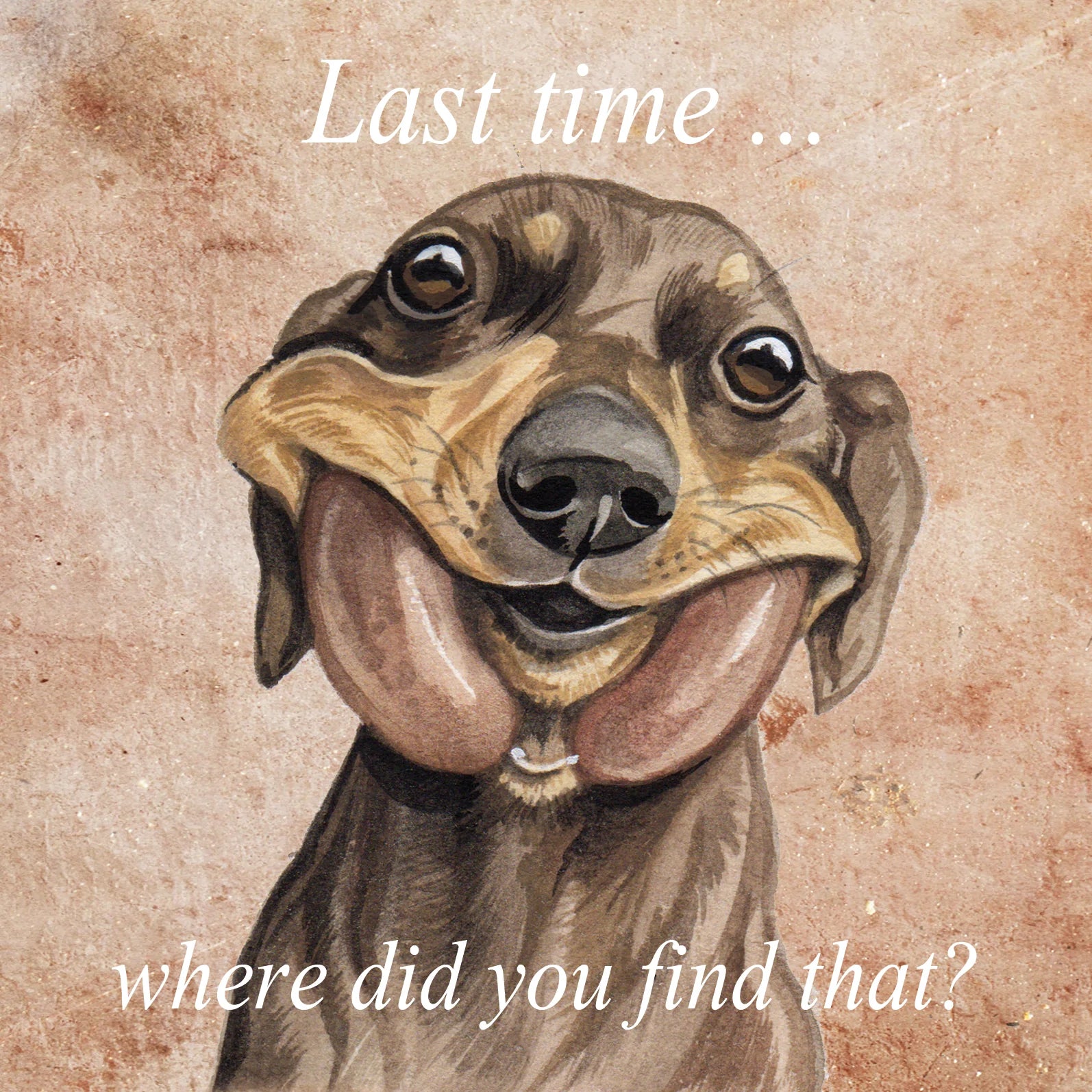 Vierkante kaart - Last time...., where did you find that (Teckel / Dachshund)