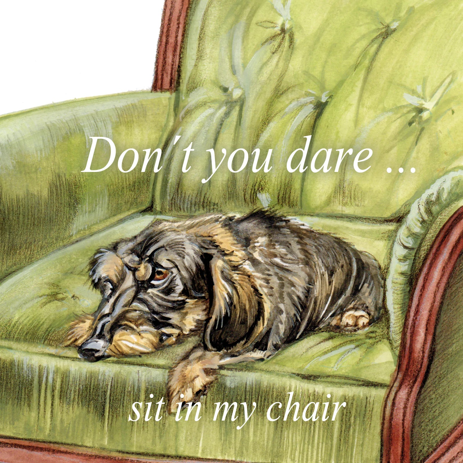 Vierkante kaart - Don't You Dare..... (Teckel/Dachshund)