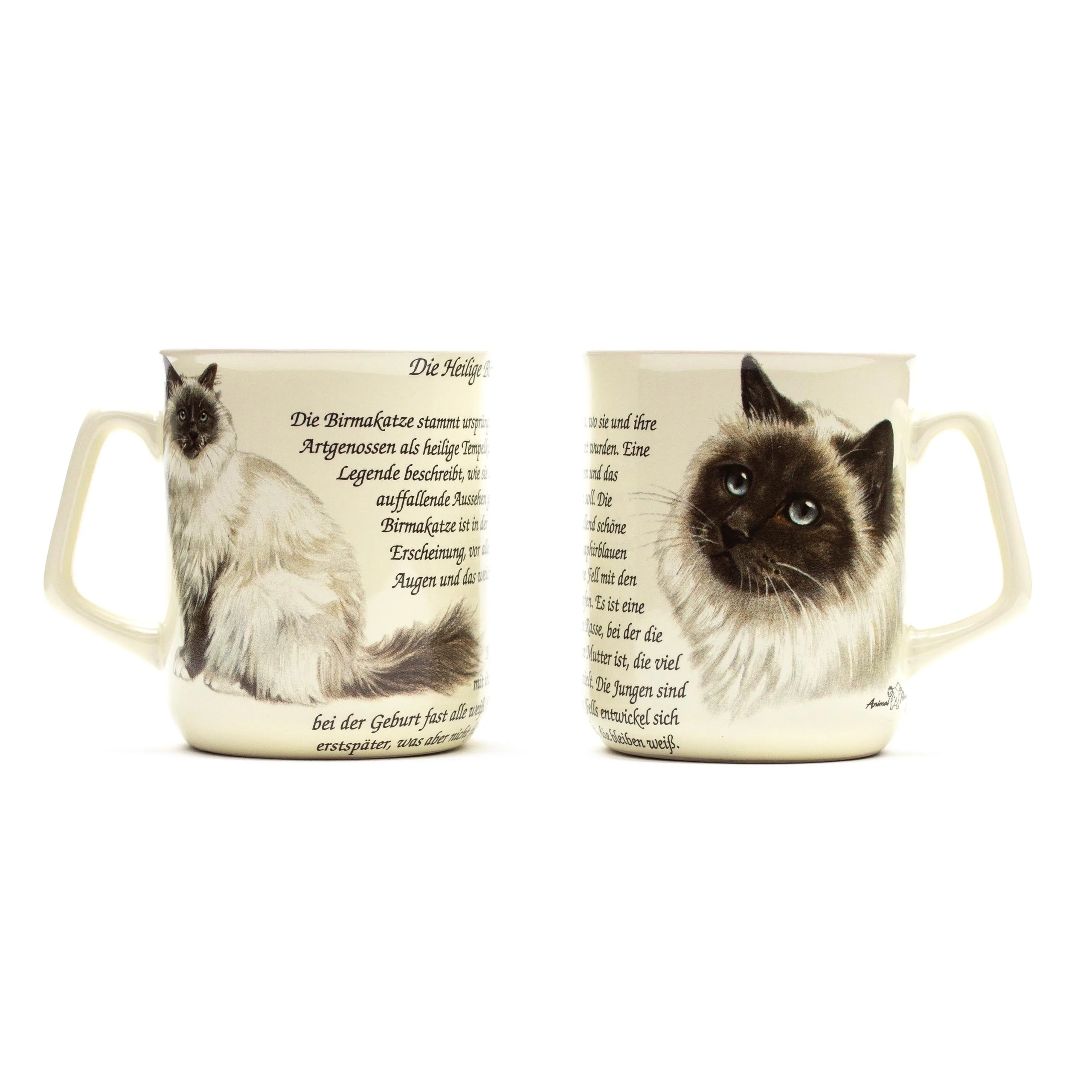 Tasse Heilige Birma
