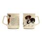 Mok Jack Russell Terrier