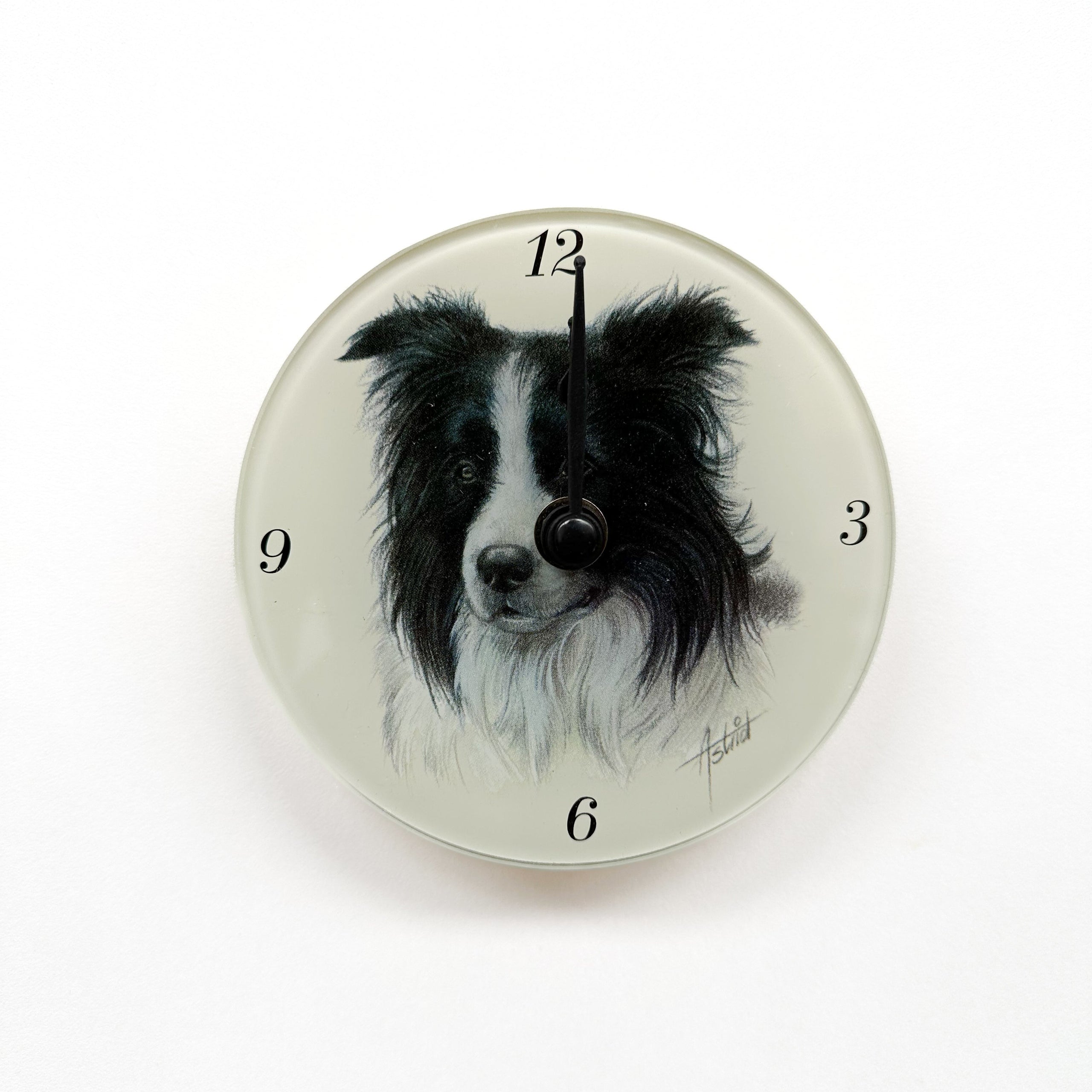 Klok Border Collie