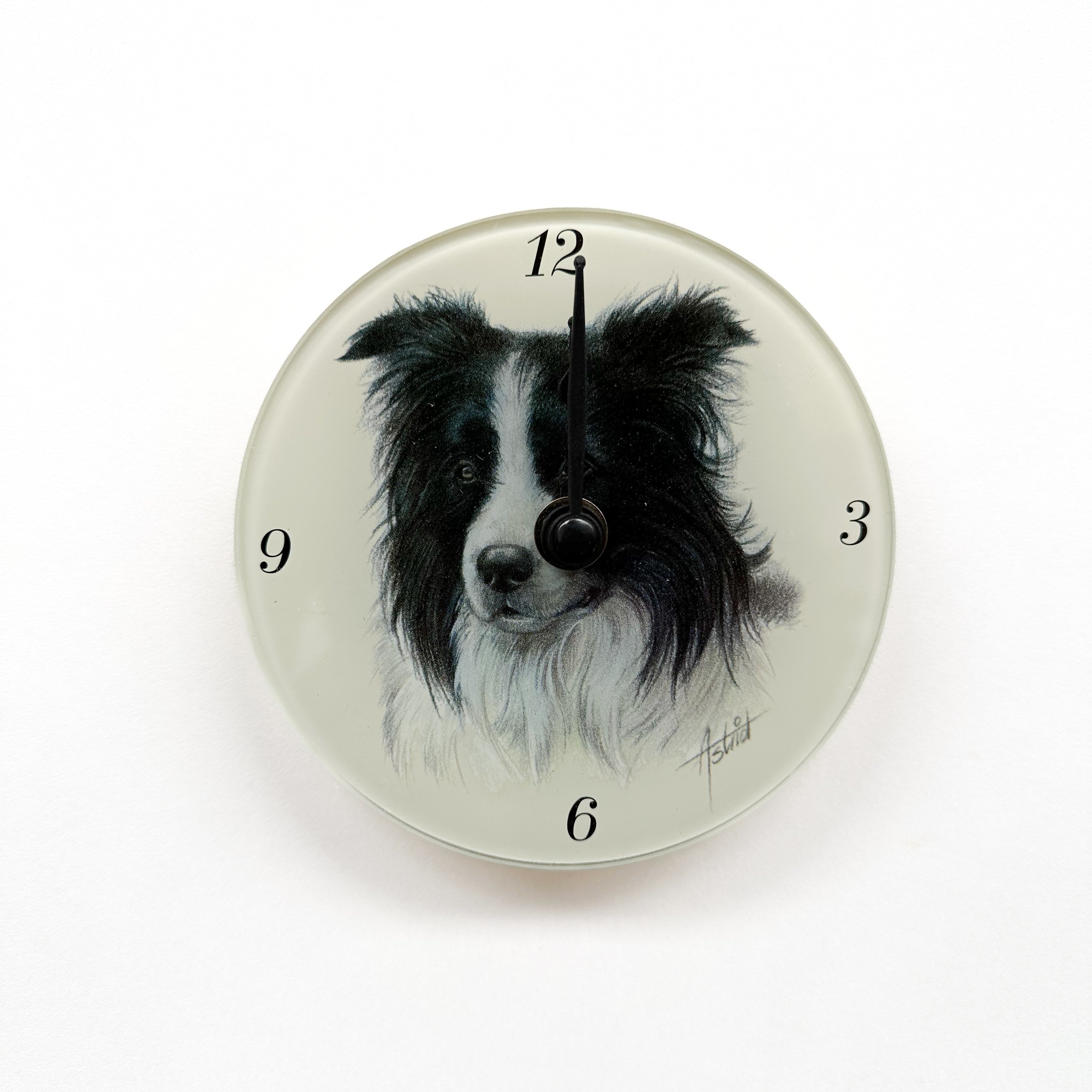 Klok Border Collie