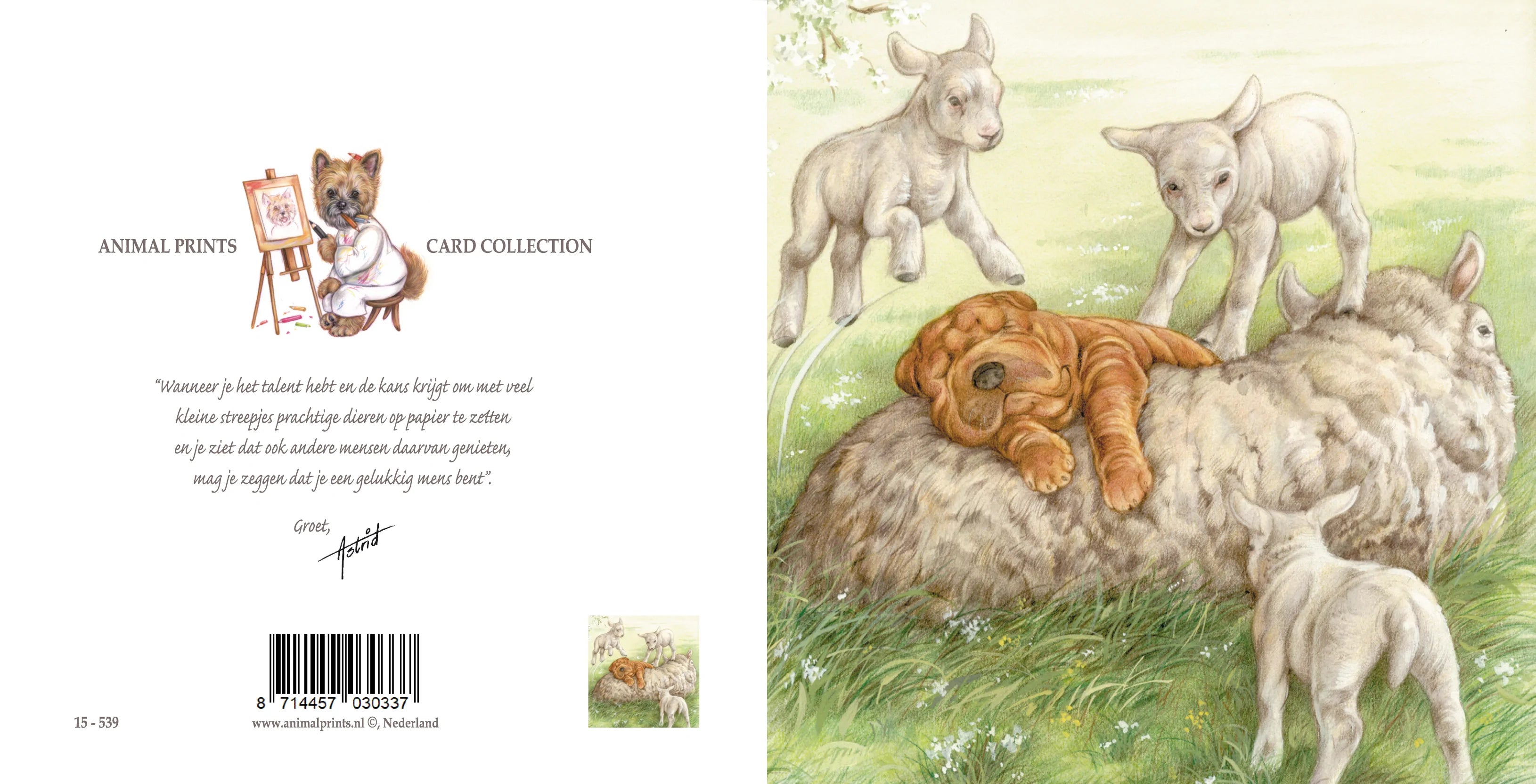 Vierkante kaart - Ligt echt heerlijk zo'n schapenwollen vachtje.