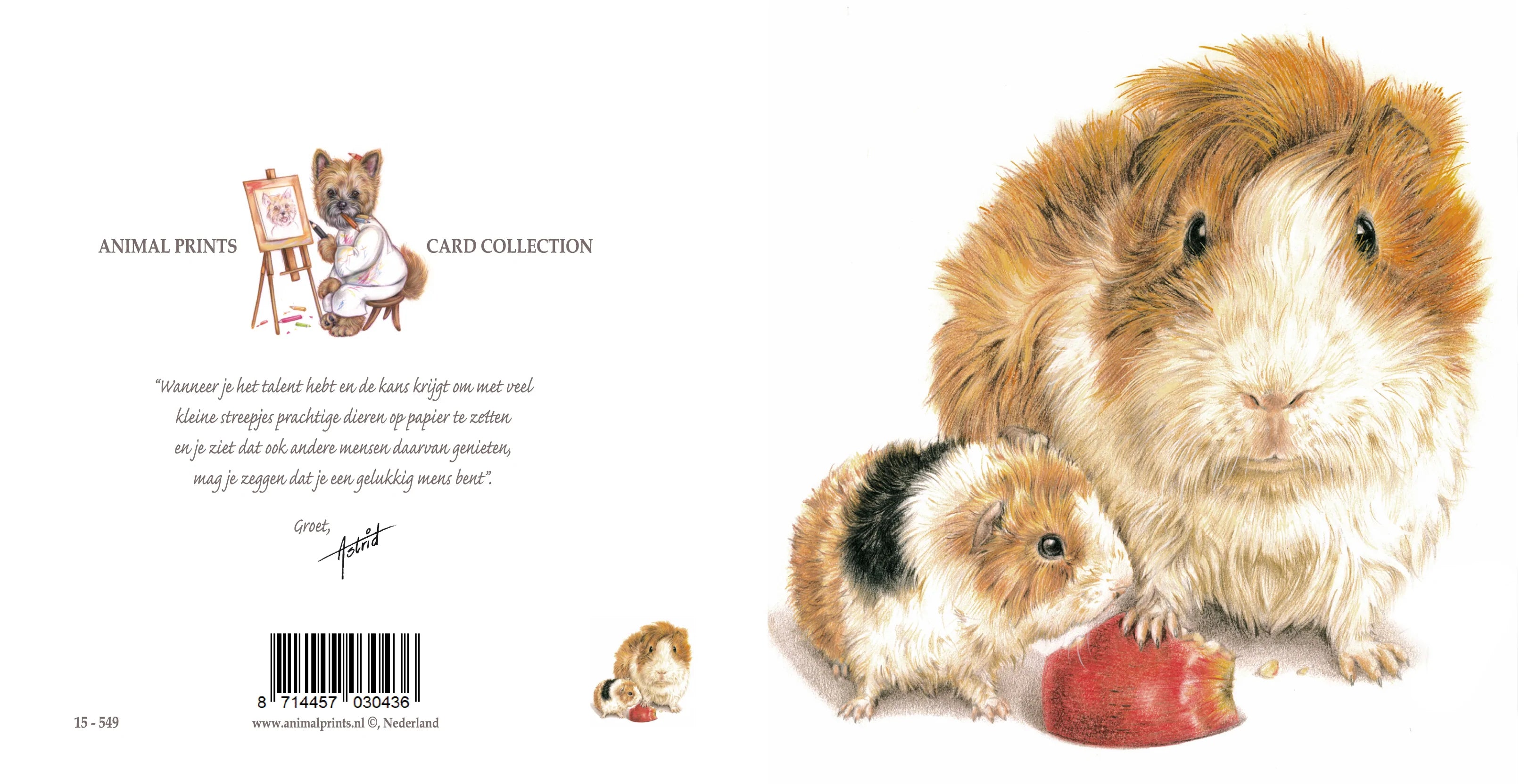 Vierkantie kaart - Als Cavia heb je altijd wel interesse in wat lekkers