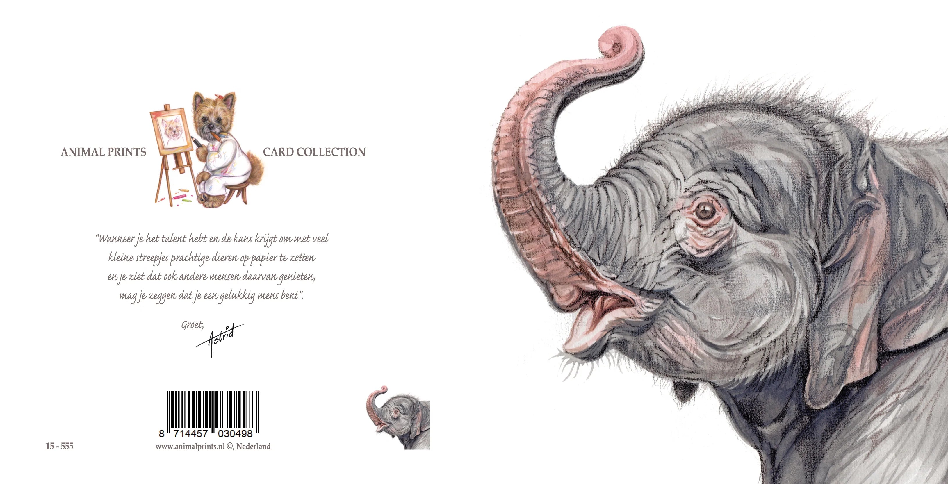 Quadratische Karte - Elefant; "Hast du mich nicht kommen gehört"?