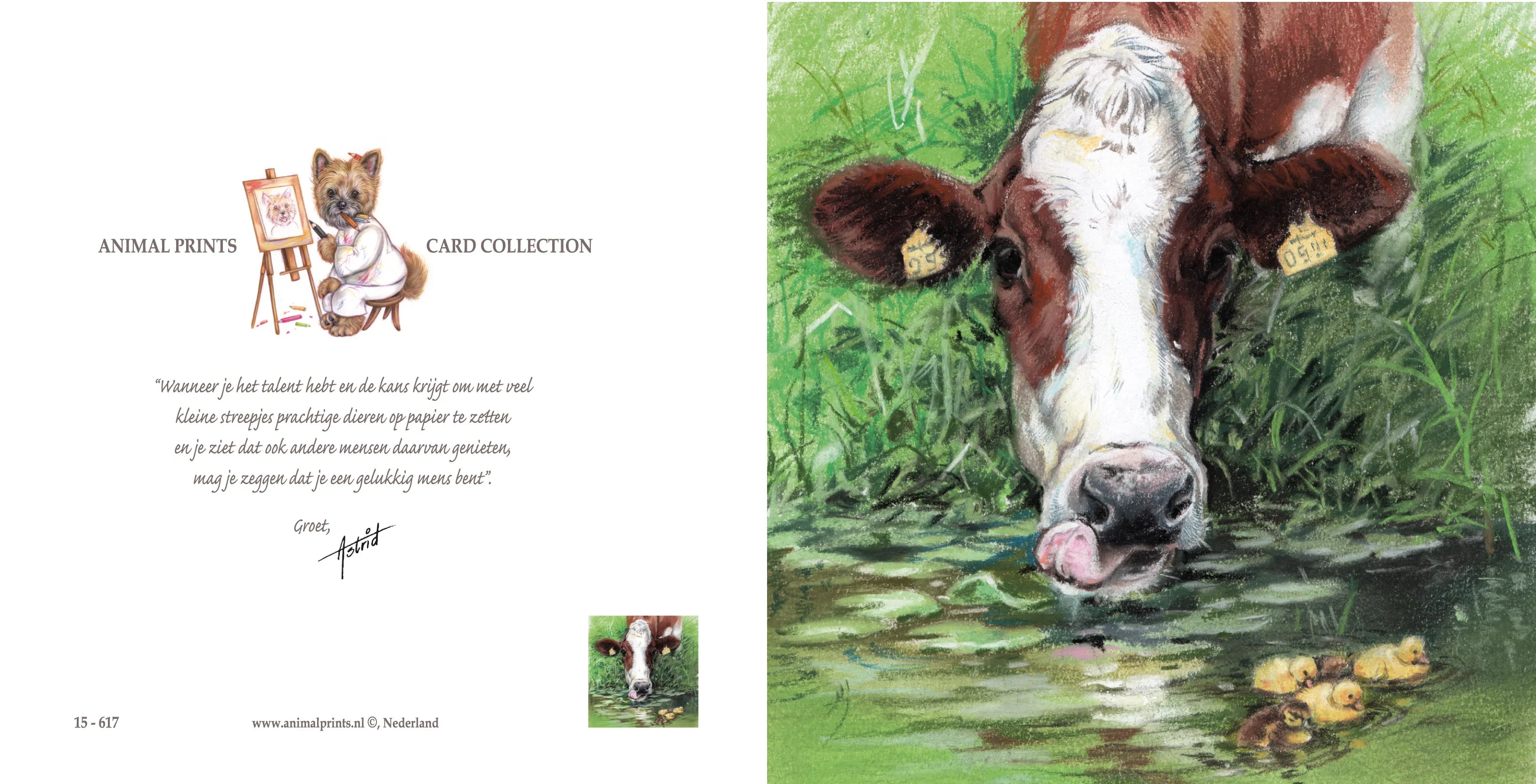 Vierkante kaart - Wie heeft er behoefte aan een oude koe uit de sloot, als er nieuwe gewoon naast staan?