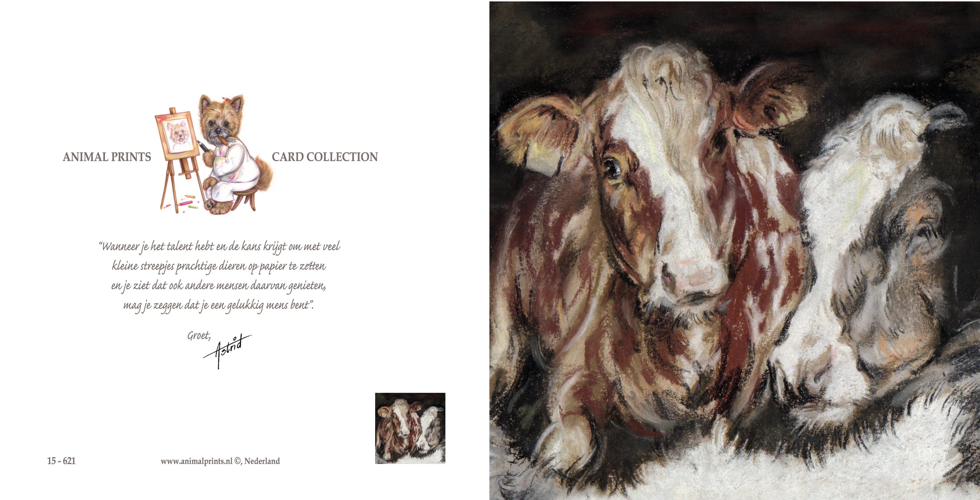 Vierkante kaart - Twee koeien - Kalverliefde