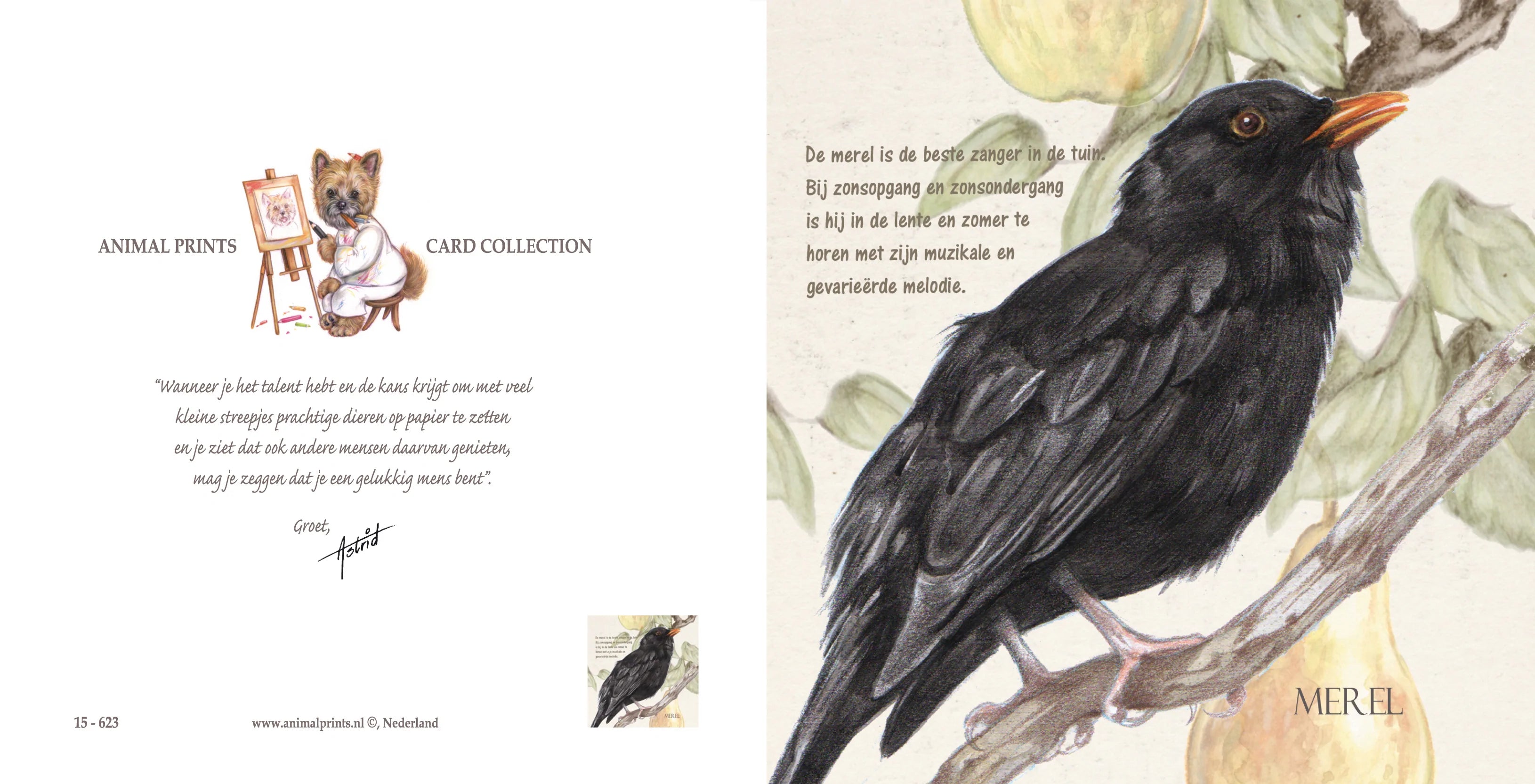 Vierkante kaart - Merel