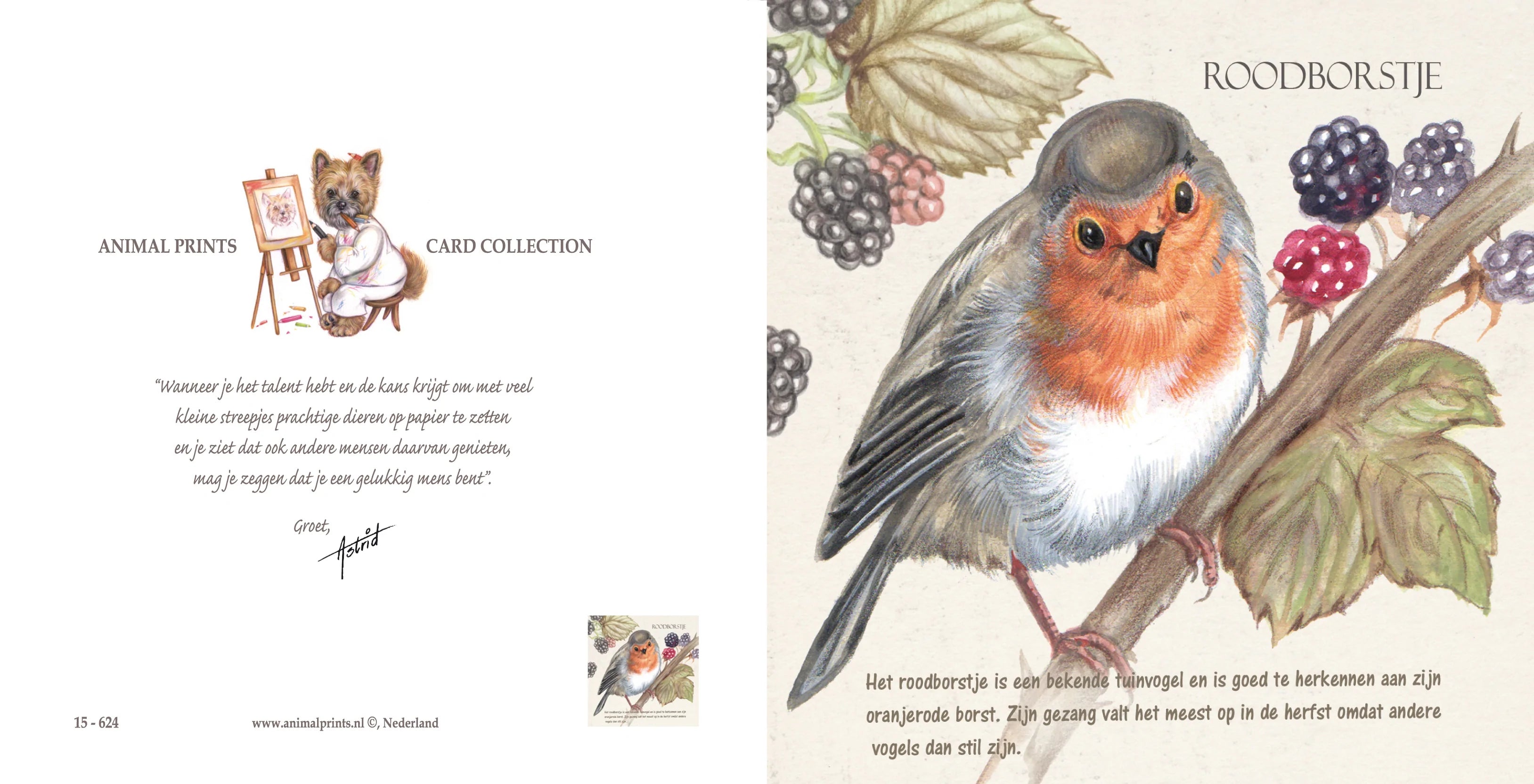 Vierkante kaart - Roodborst