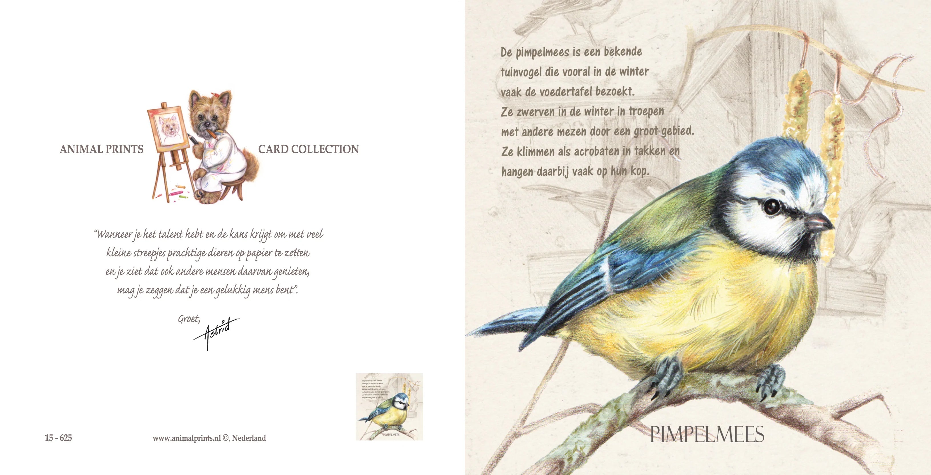 Vierkante kaart - Pimpelmees