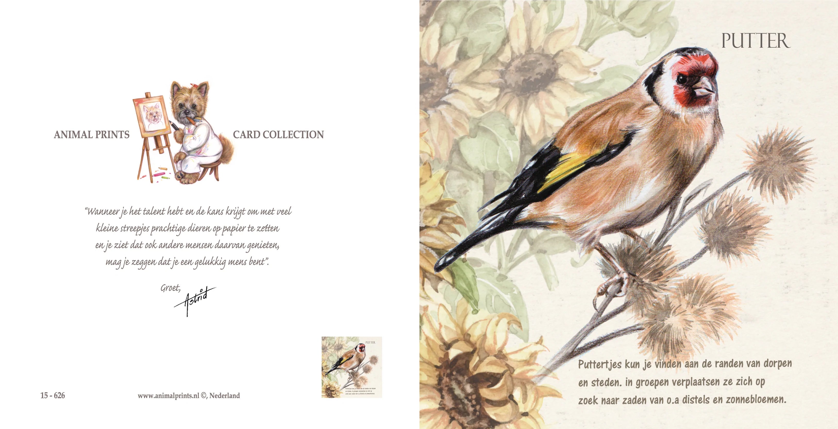 Quadratische Karte - Stieglitz