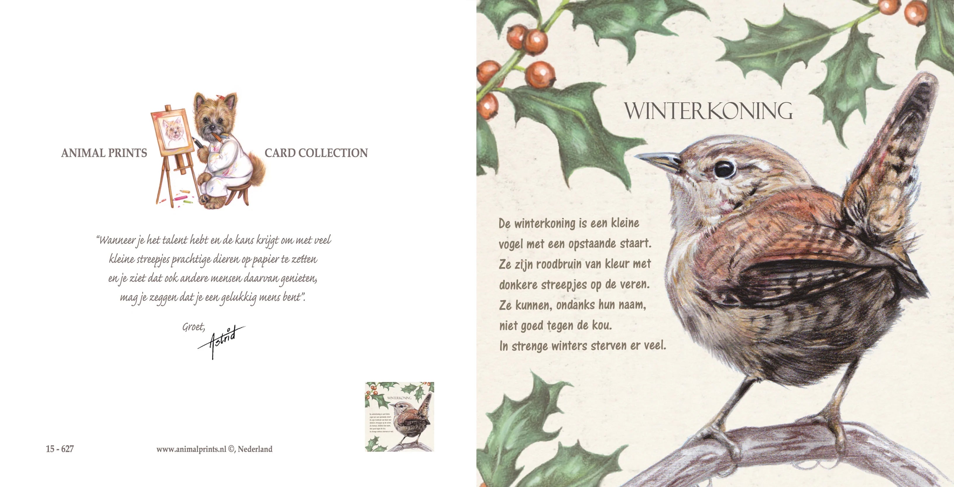 Vierkante kaart - Winterkoning