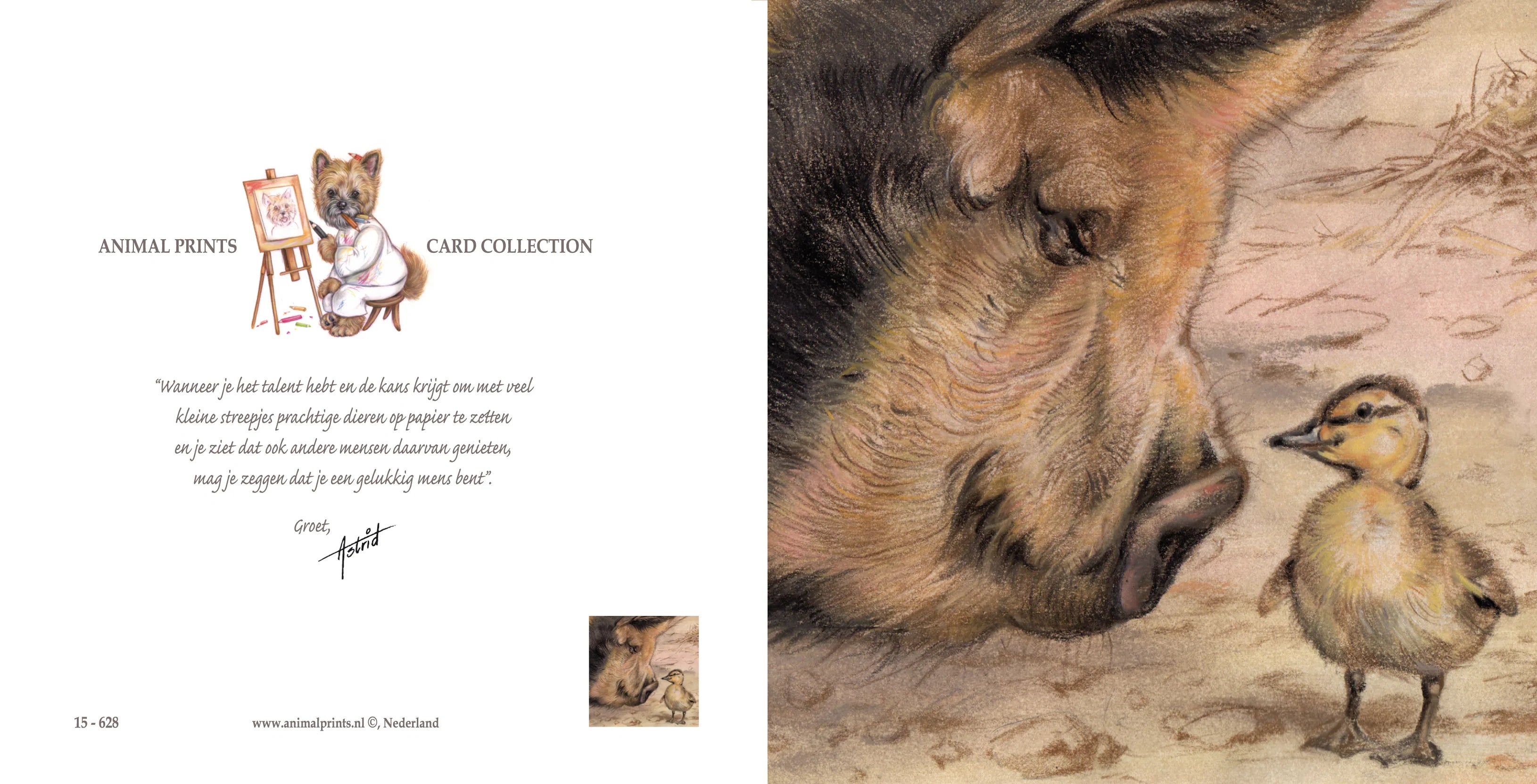 Vierkante kaart - Varken & Kuiken