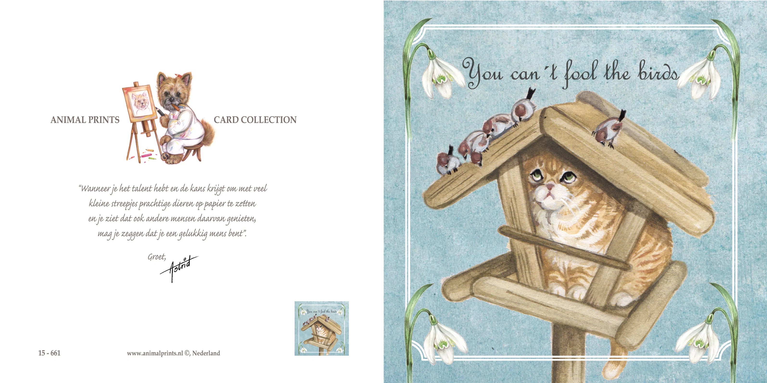 Vierkante kaart - You can't fool the birds